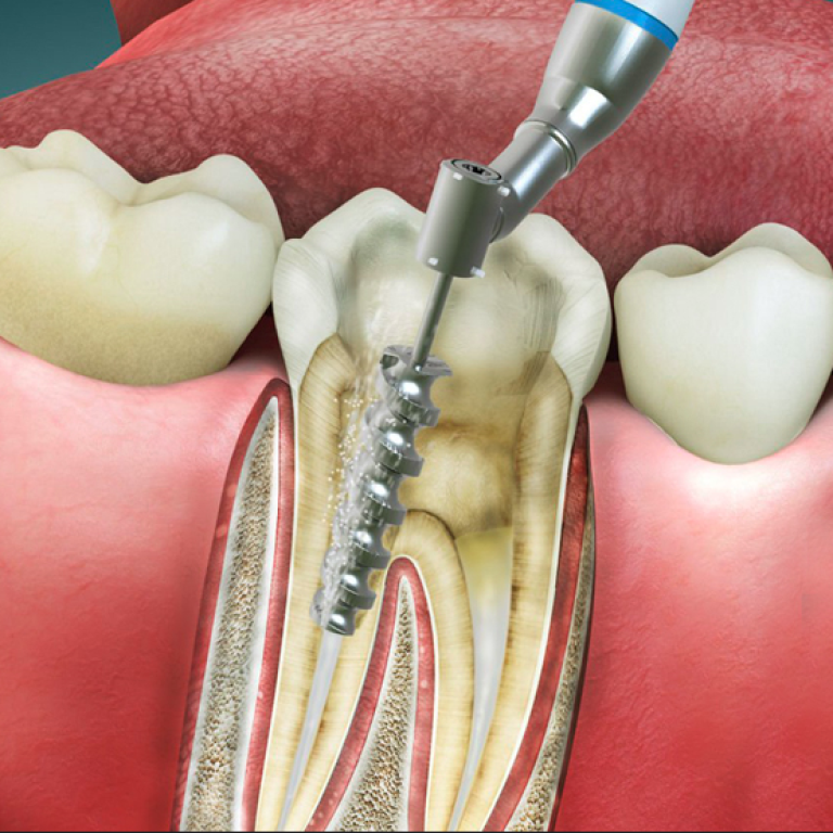 Screenshot 2024-09-24 123907